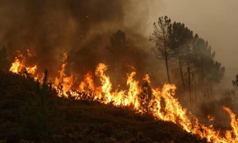 Αυξημένος ο κίνδυνος για εκτεταμένες δασικές πυρκαγιές στην Ευρώπη